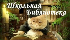 Школьная библиотека